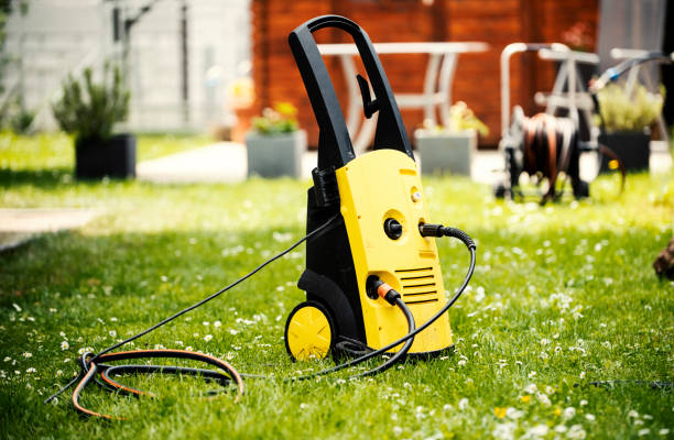 Best Rust Removal  in Fowler, MI